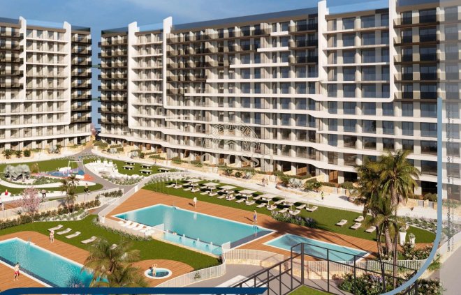 Planta baja - Obra nueva - Torrevieja -
                    Punta prima