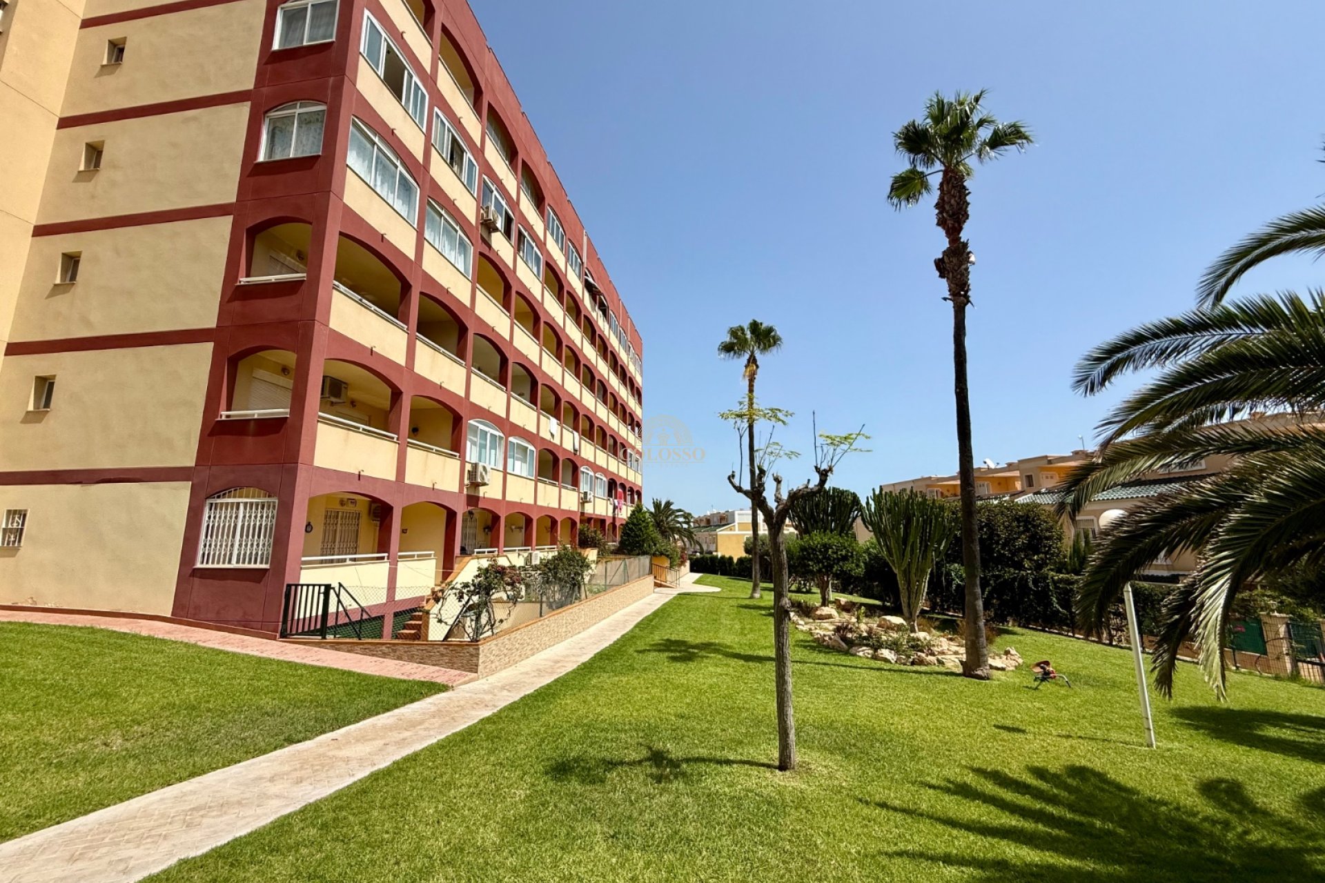 Rental - Apartamento -
La Mata