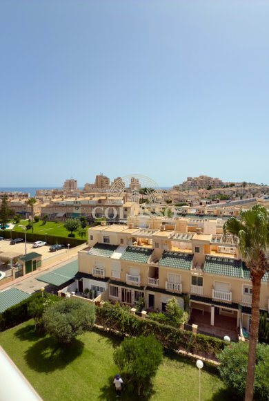 Rental - Apartamento -
La Mata