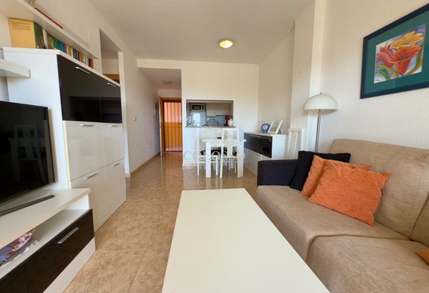 Rental - Apartamento -
La Mata