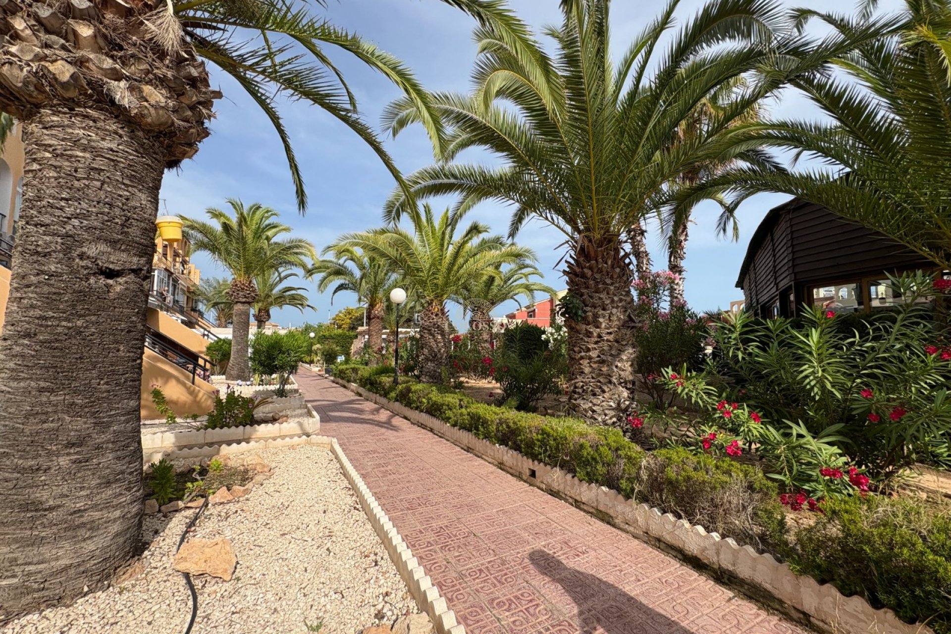 Rental - Apartment / flat -
Torrevieja - La Mata
