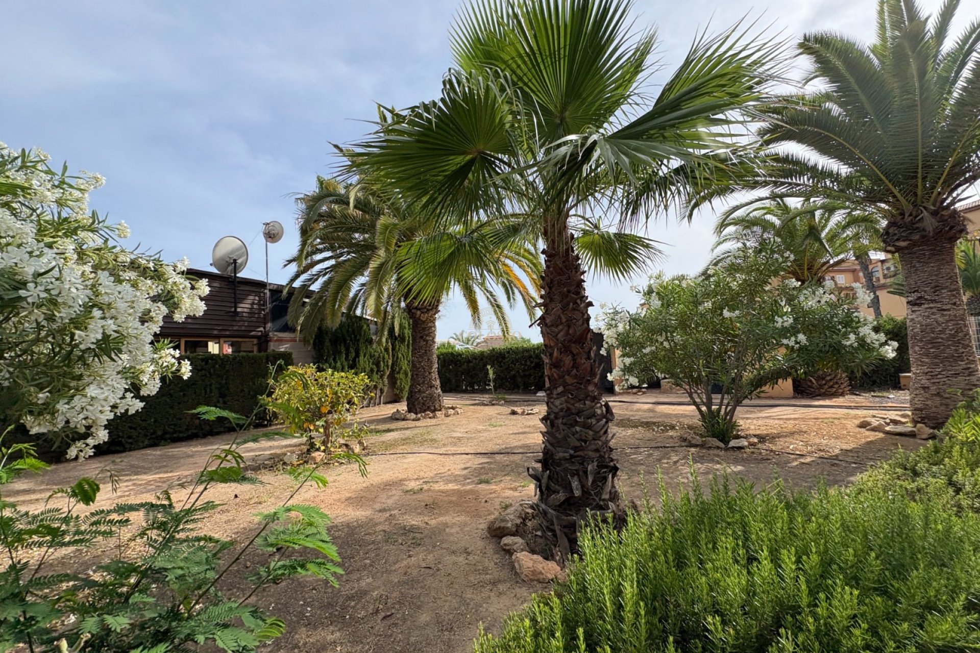 Rental - Apartment / flat -
Torrevieja - La Mata