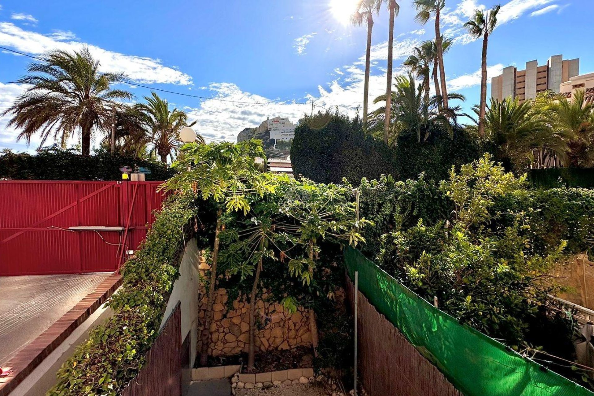 Rental - Bungalow -
Benidorm - Hotel Bali