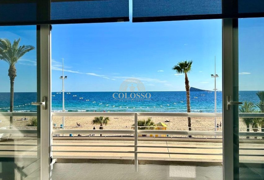Rental - Study -
Benidorm - Levante