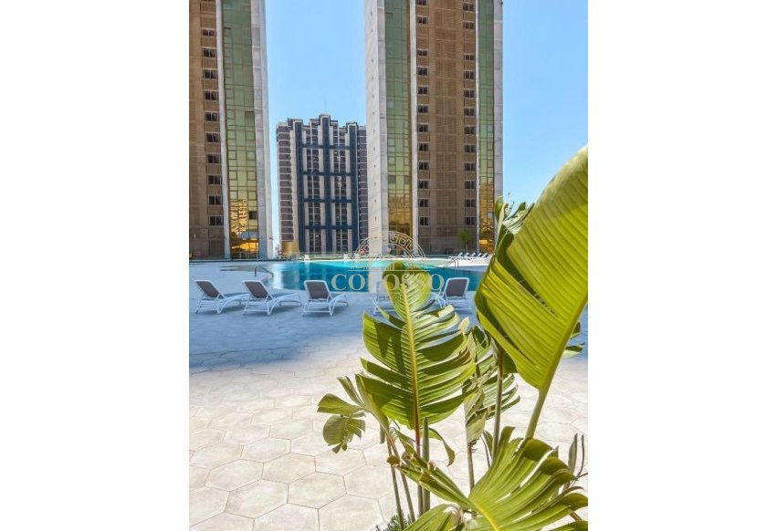 Resale - Apartamento -
Benidorm - Poniente