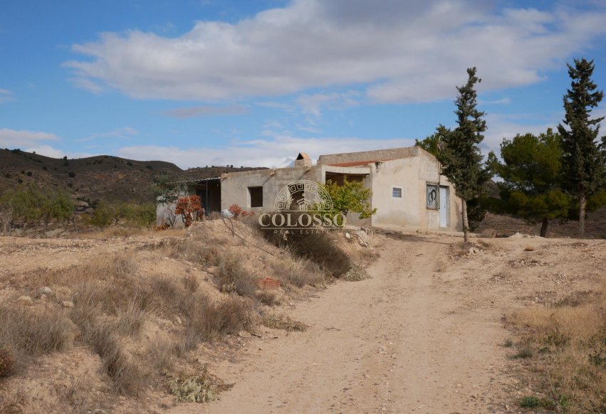 Resale - Casa -
Abanilla - EL SALADO