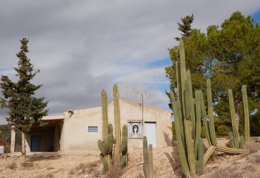 Resale - Casa -
Abanilla - EL SALADO