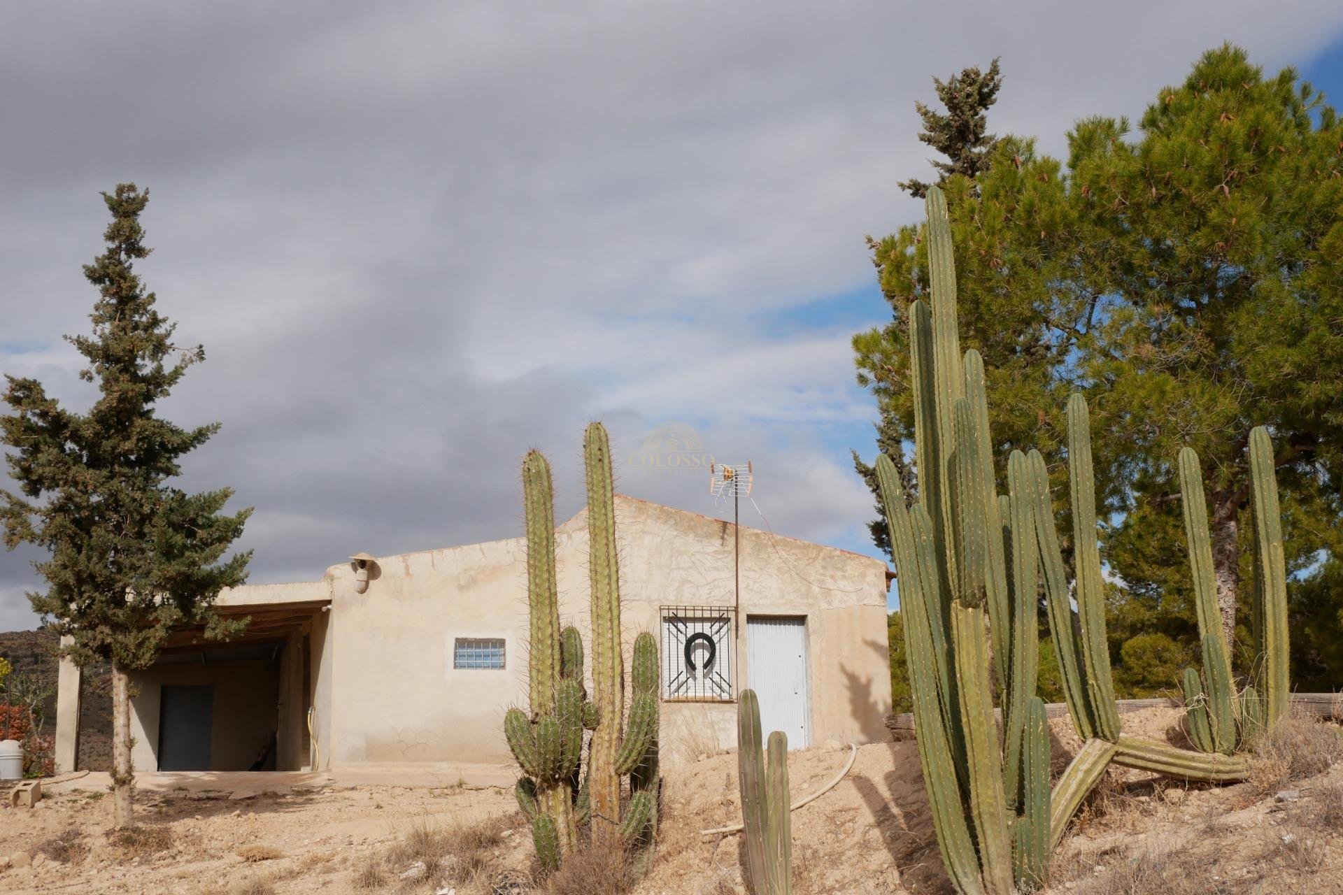 Resale - Casa -
Abanilla - EL SALADO