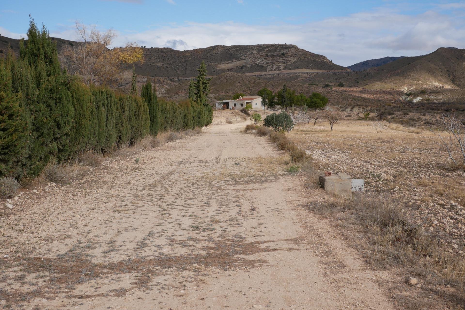 Resale - Casa -
Abanilla - EL SALADO