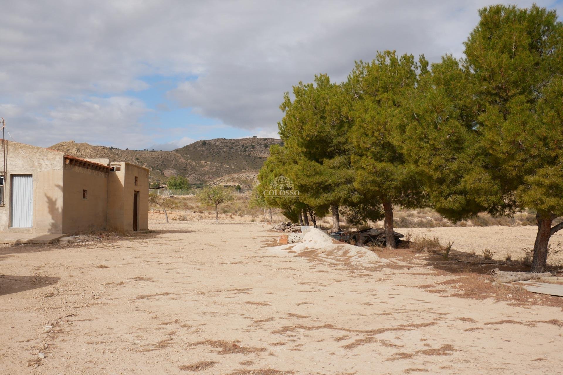 Resale - Casa -
Abanilla - EL SALADO