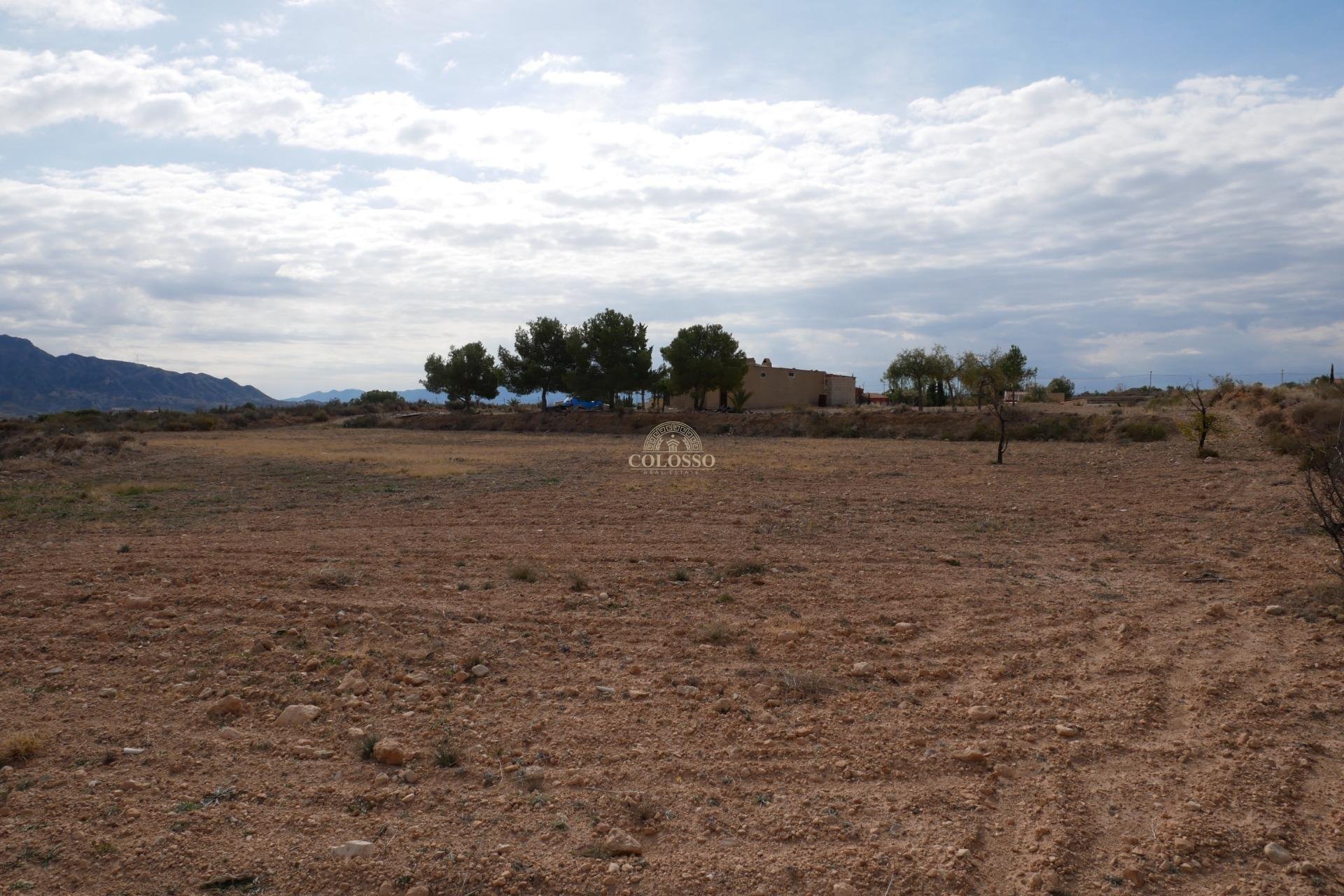 Resale - Casa -
Abanilla - EL SALADO