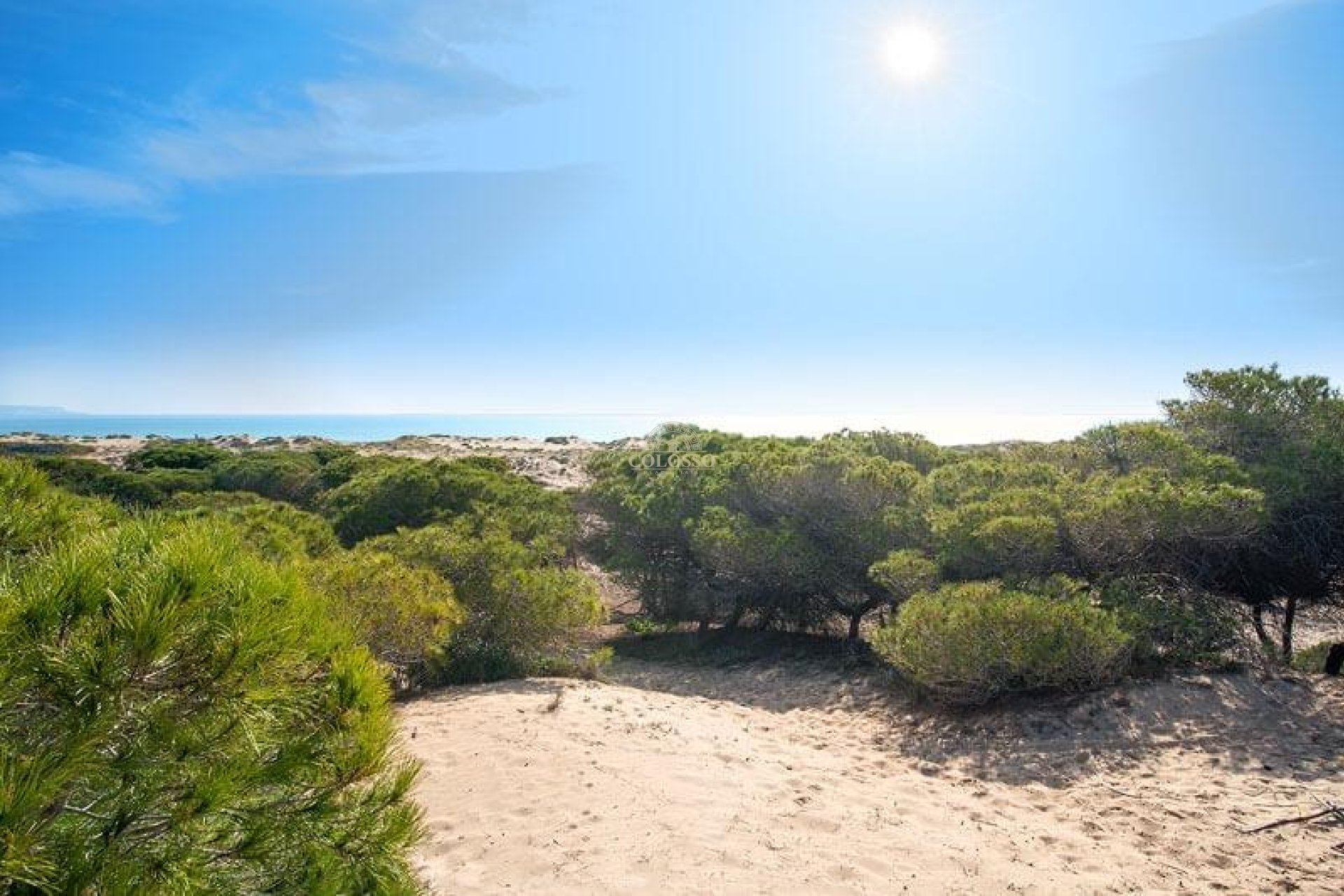 Resale - Chalet -
La marina - El Pinet Playa