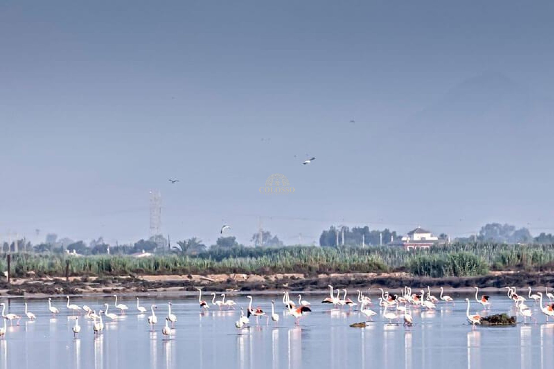 Resale - Chalet -
La marina - El Pinet Playa