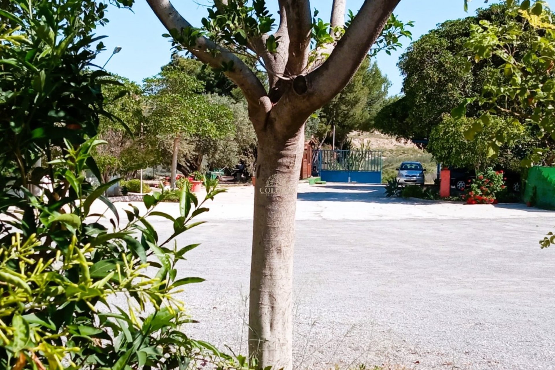 Resale - Chalet -
Mutxamel - Bonalba-Cotoveta