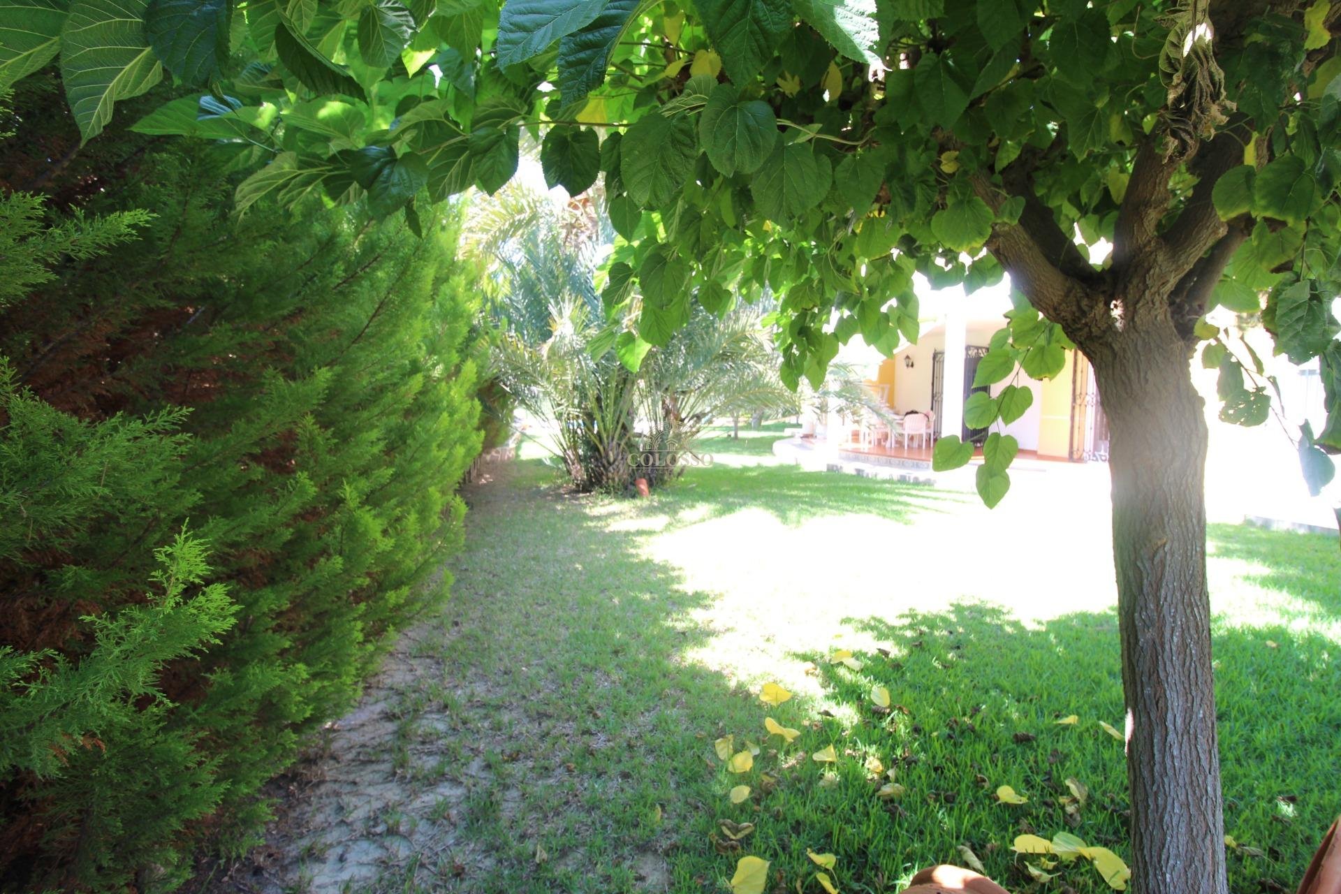 Resale - Chalet -
Orihuela Costa - Punta Prima
