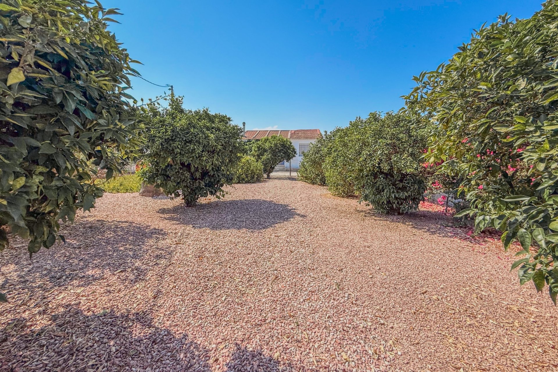 Resale - Chalet -
Rafal