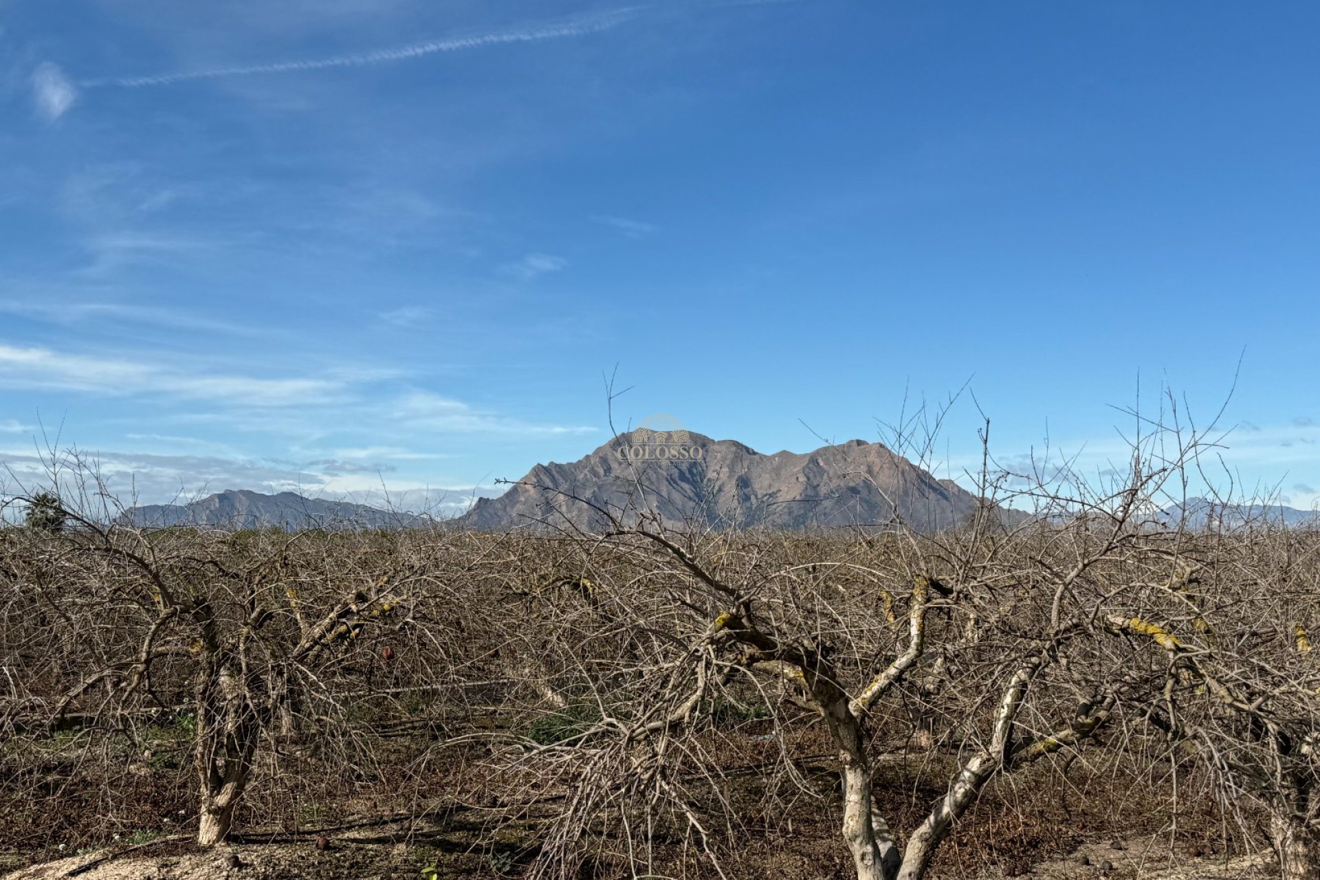 Resale - Finca rústica -
Almoradí