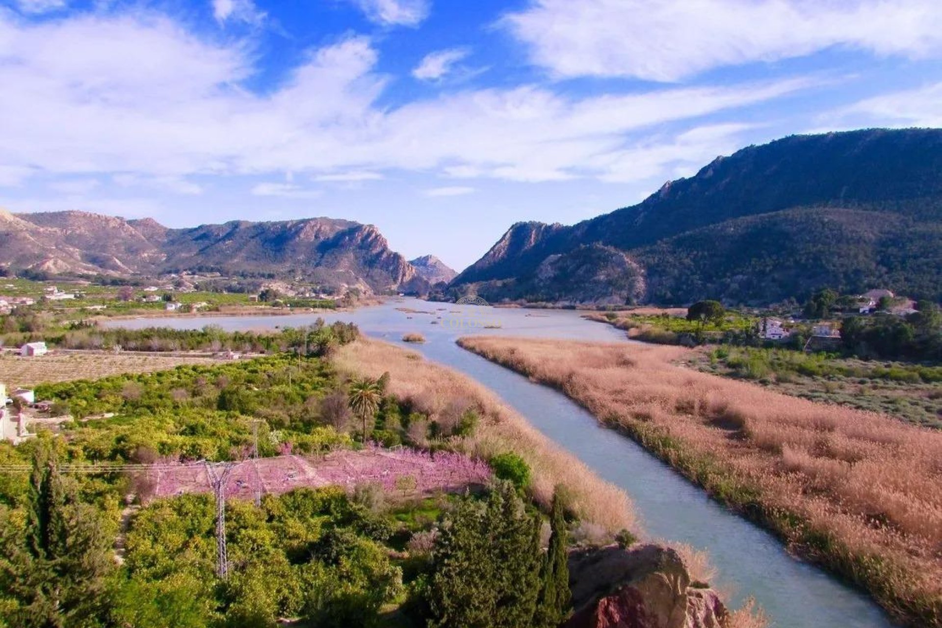 Resale - Penthouse -
Archena - Balneario