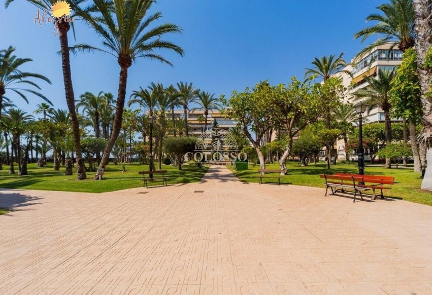 Resale - Penthouse -
Torrevieja - Playa de los Locos