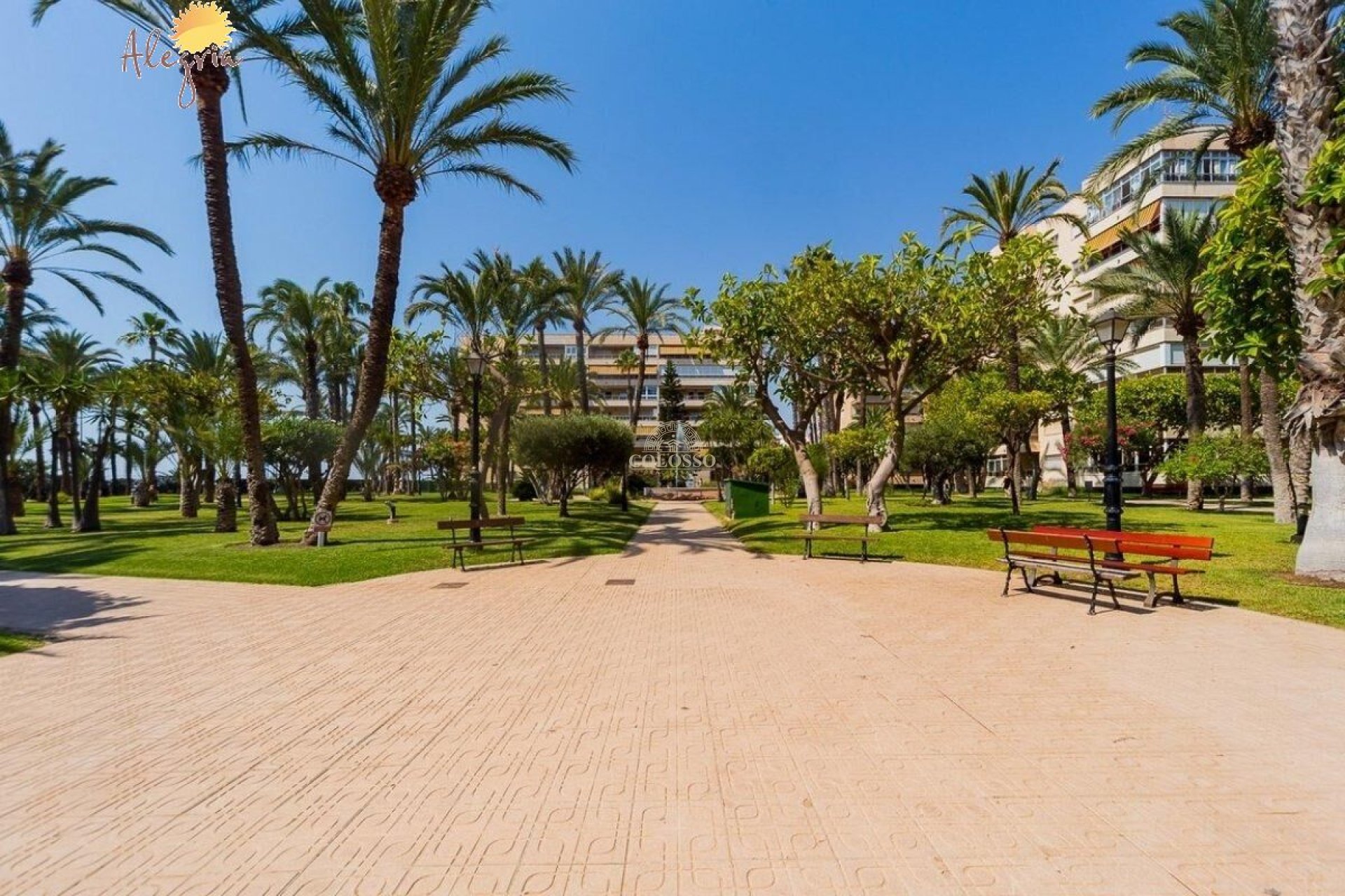Resale - Penthouse -
Torrevieja - Playa de los Locos