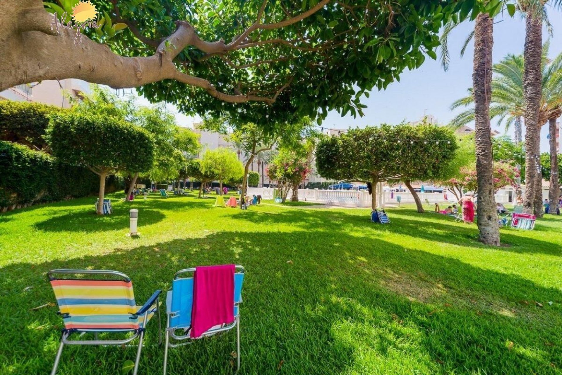 Resale - Penthouse -
Torrevieja - Playa de los Locos