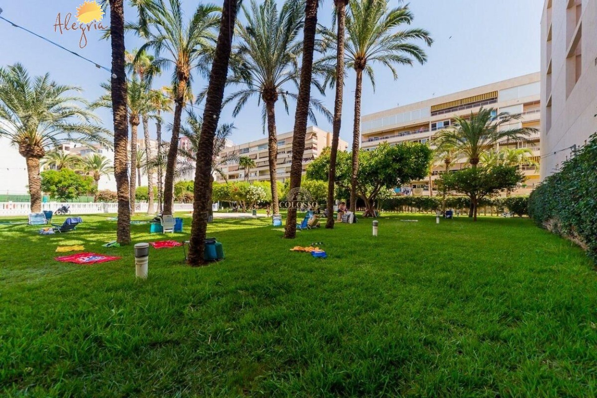 Resale - Penthouse -
Torrevieja - Playa de los Locos