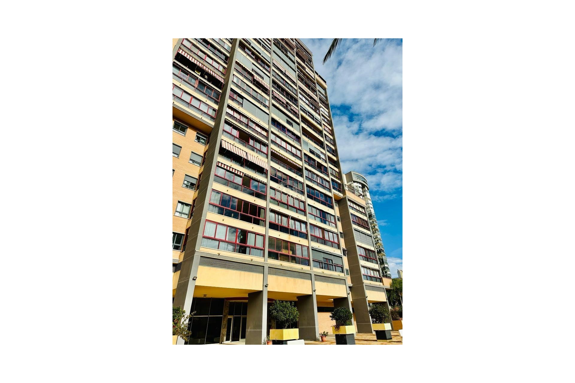 Resale - Piso -
Benidorm - Poniente