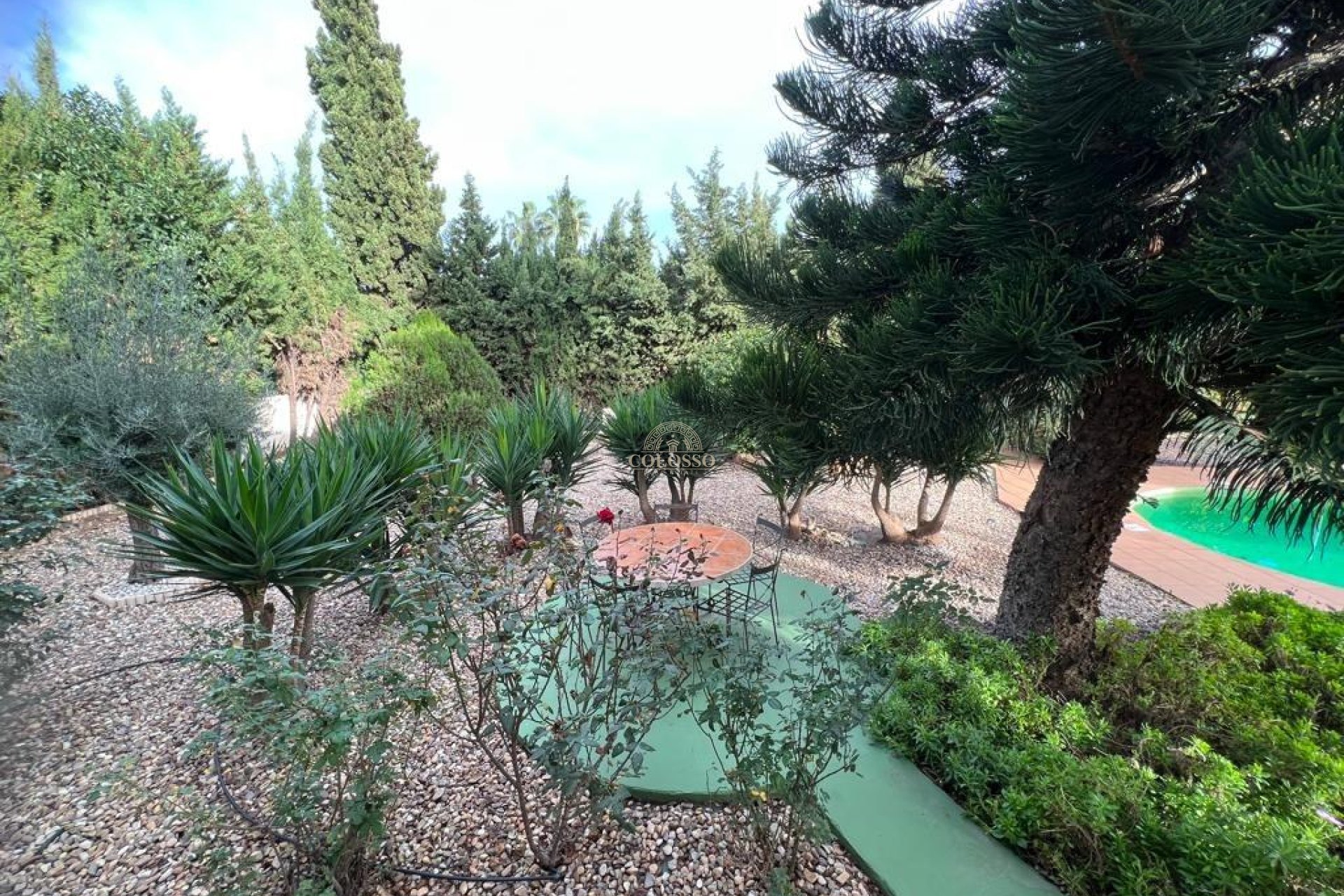 Resale - Villa -
Ciudad Quesada - Ciudad Quesada - Doña Pepa