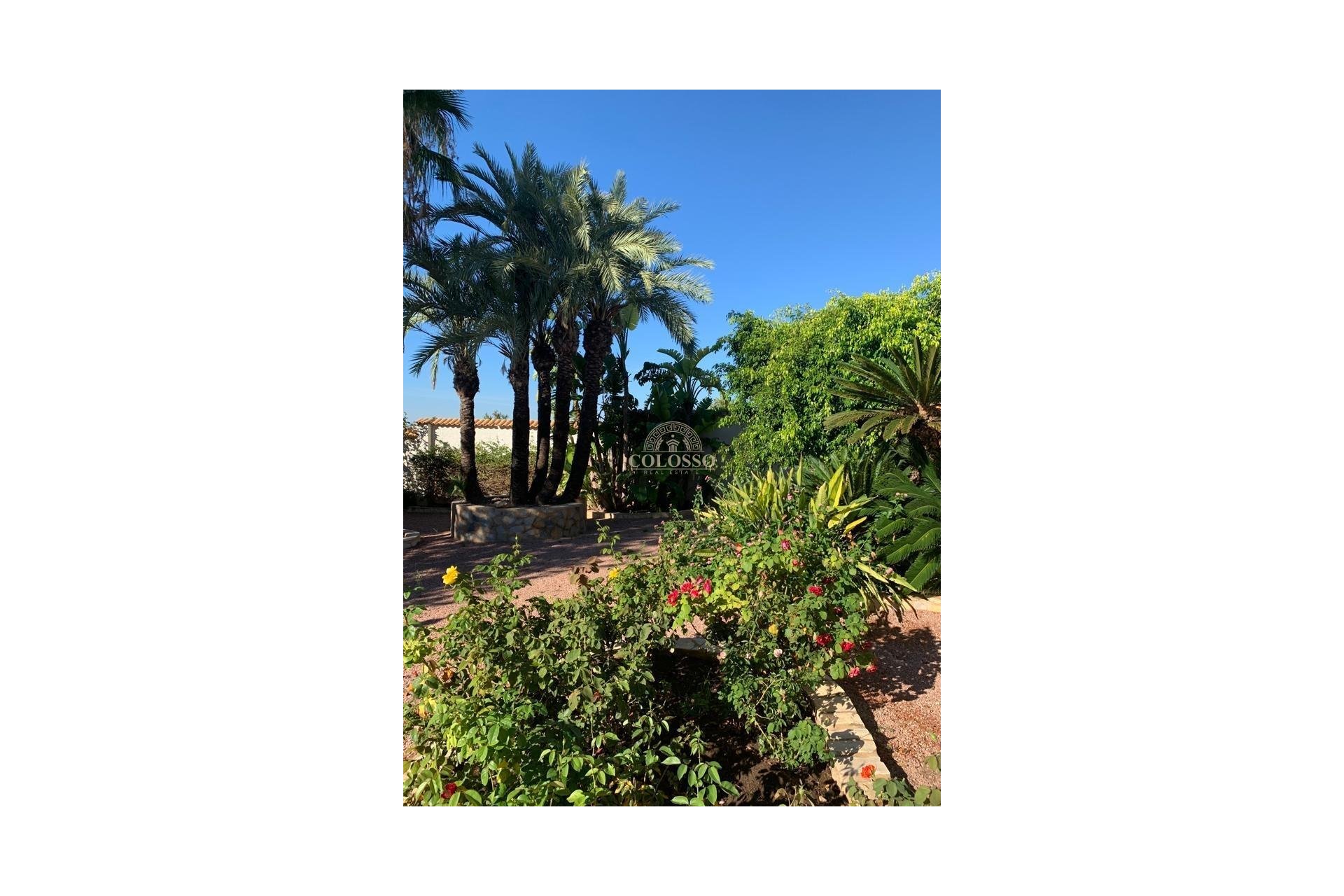 Resale - Villa -
Ciudad Quesada - Rojales