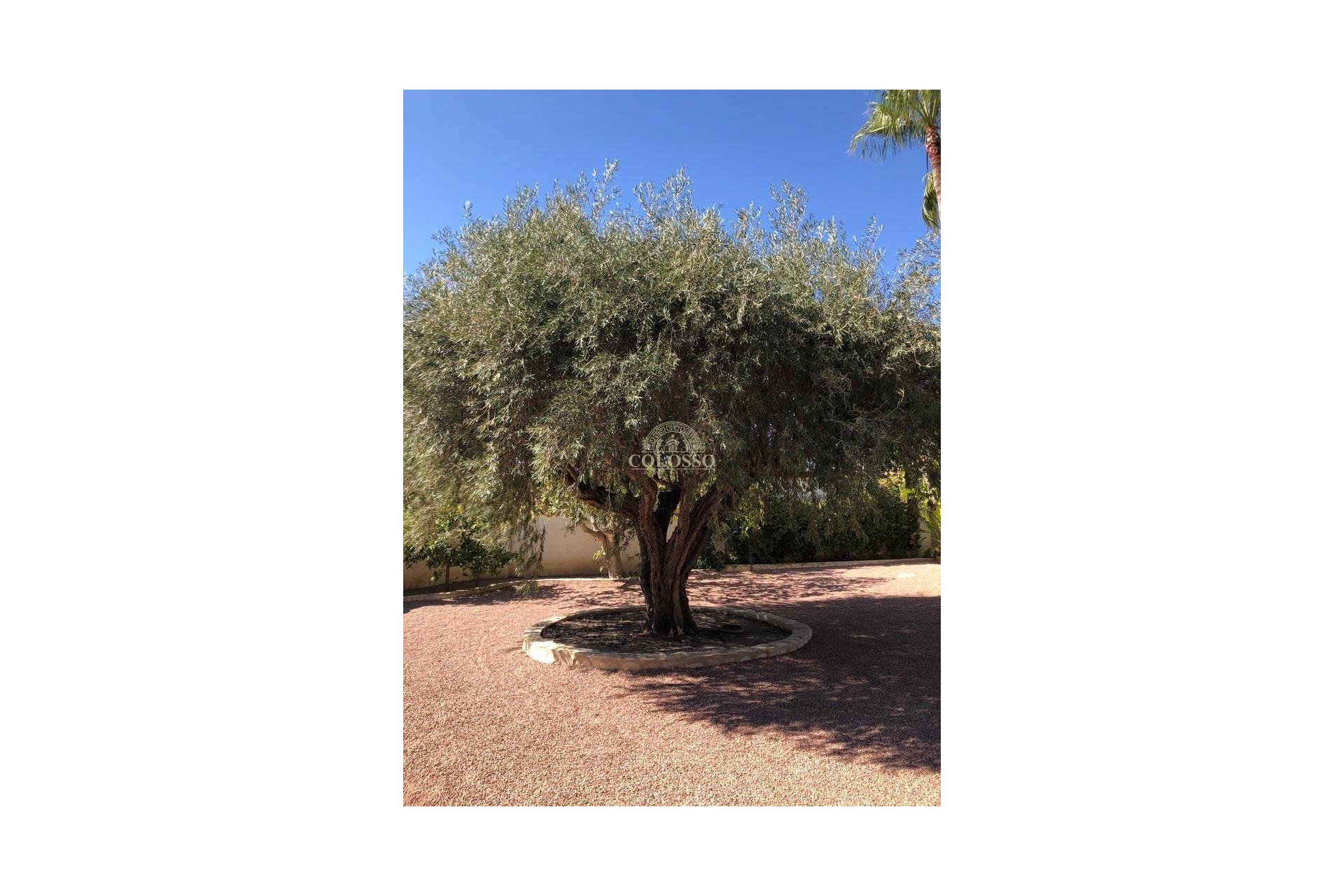 Resale - Villa -
Ciudad Quesada - Rojales