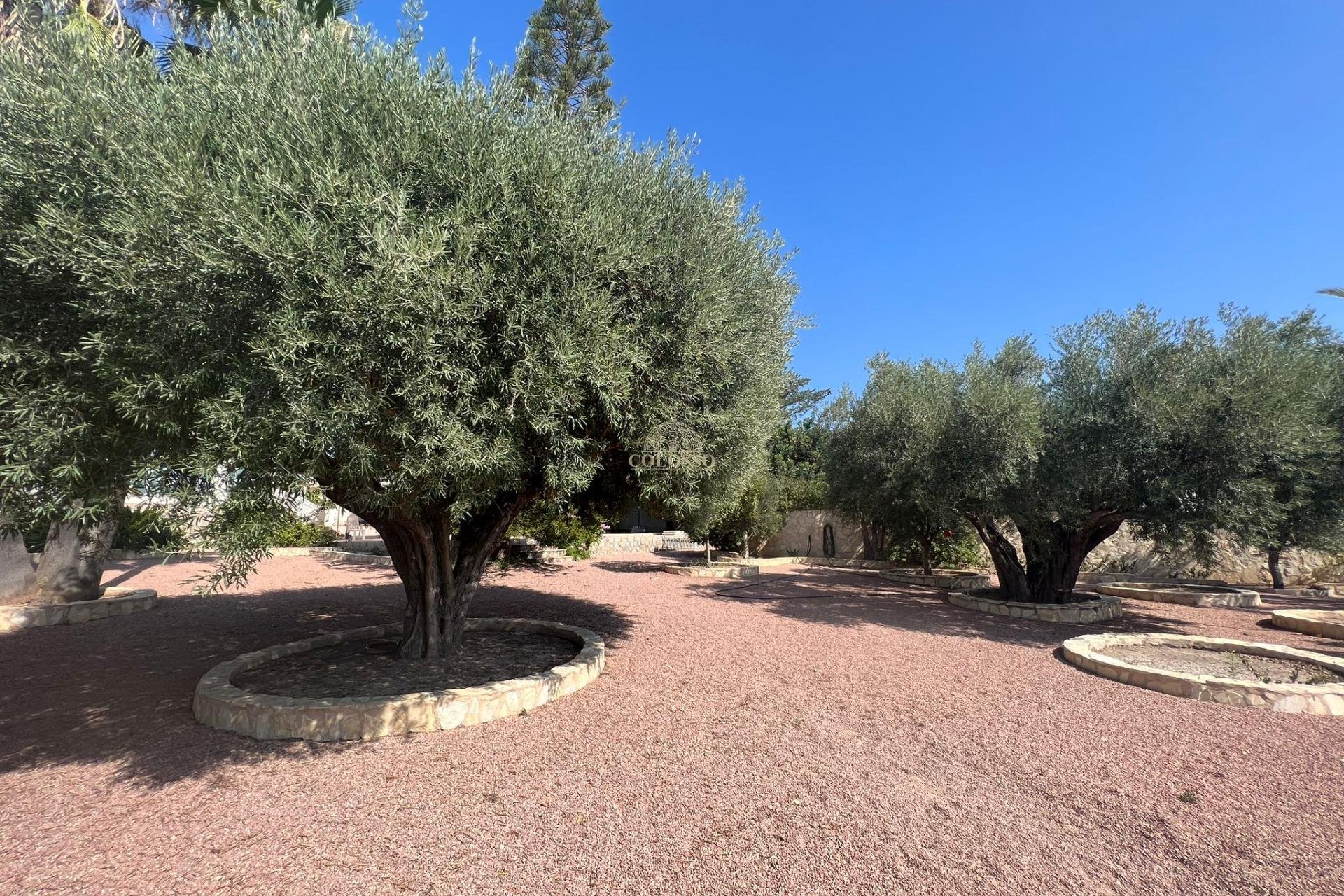 Resale - Villa -
Ciudad Quesada - Rojales