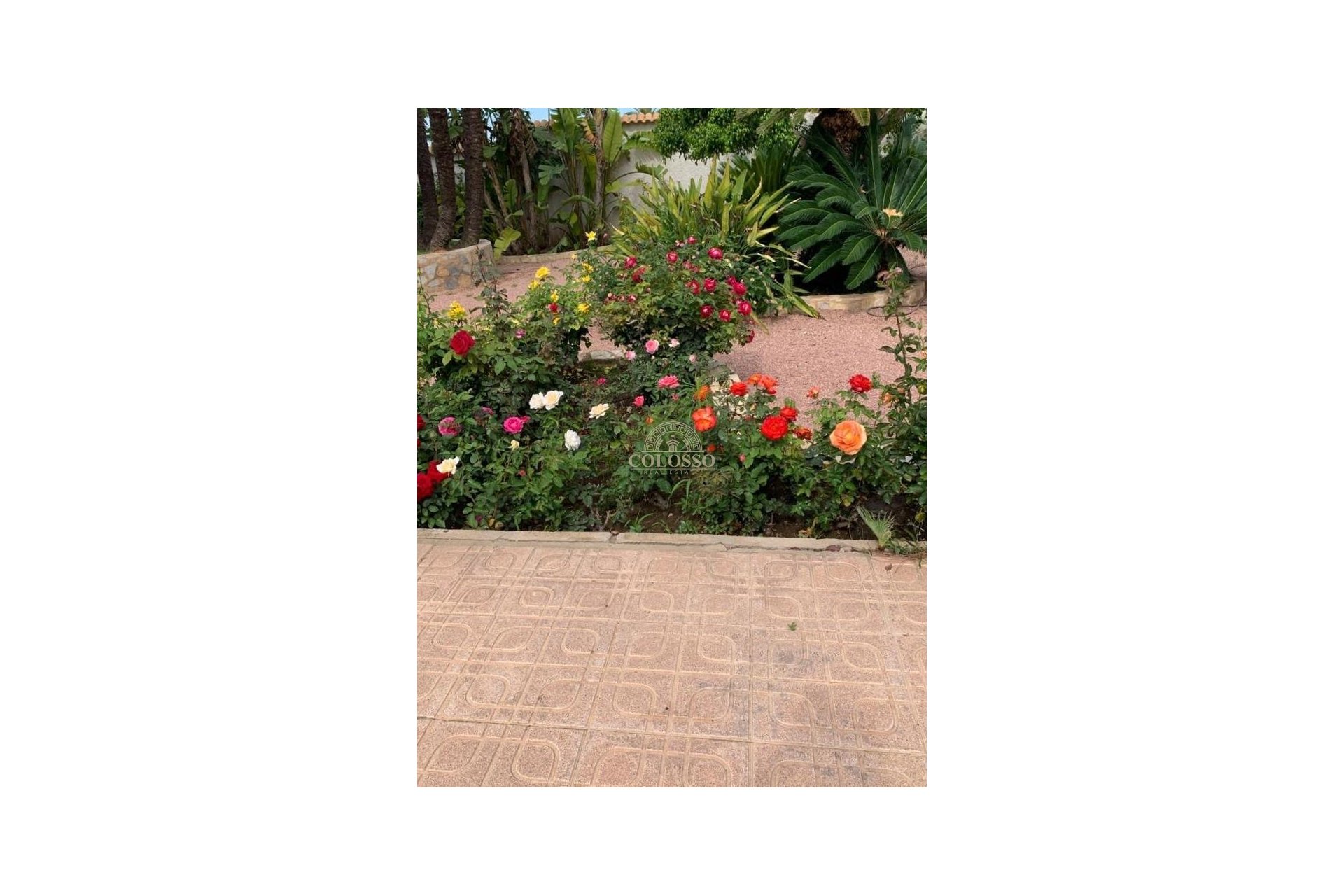 Resale - Villa -
Ciudad Quesada - Rojales