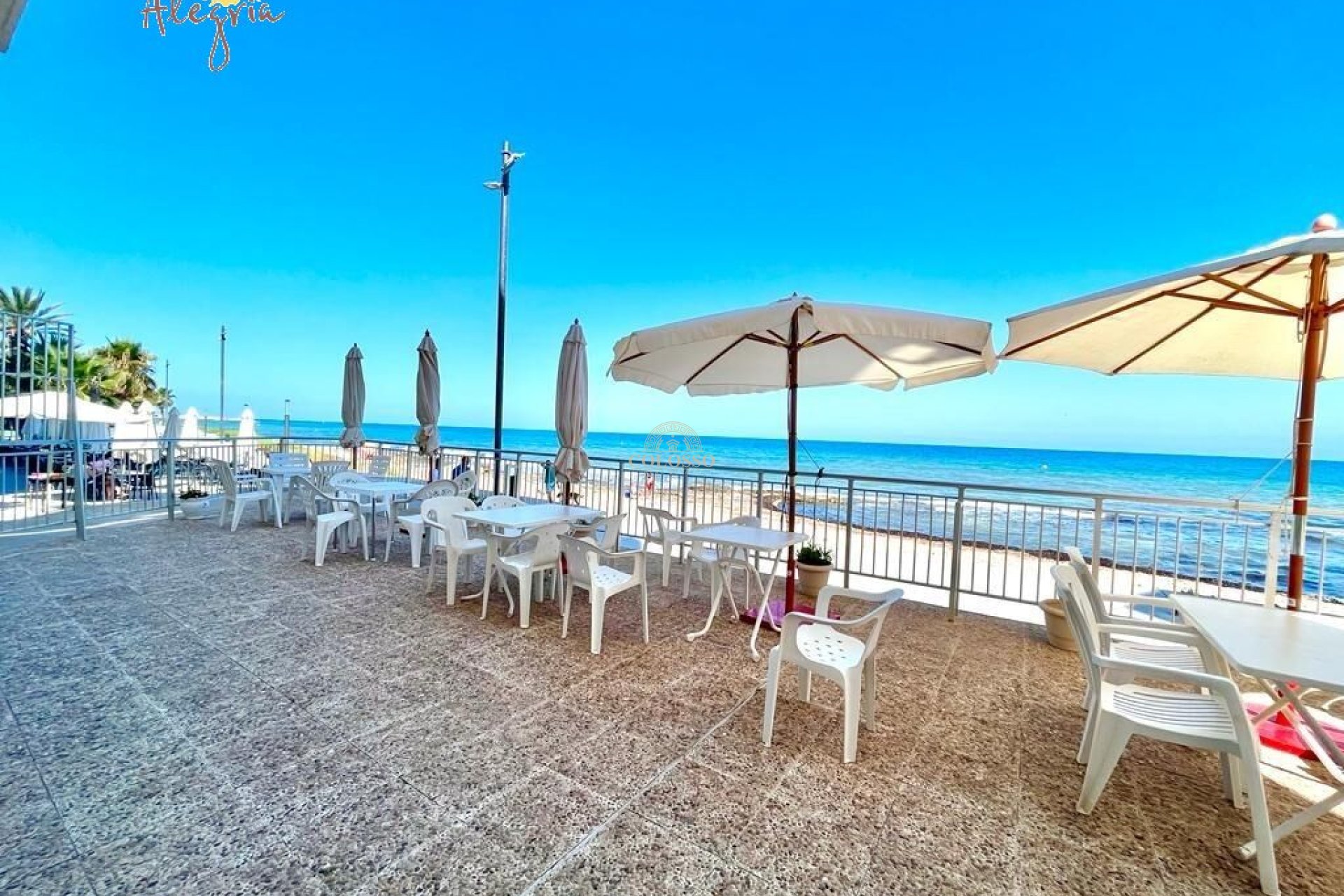 Reventa - Apartamento -
Torrevieja - Playa del Cura
