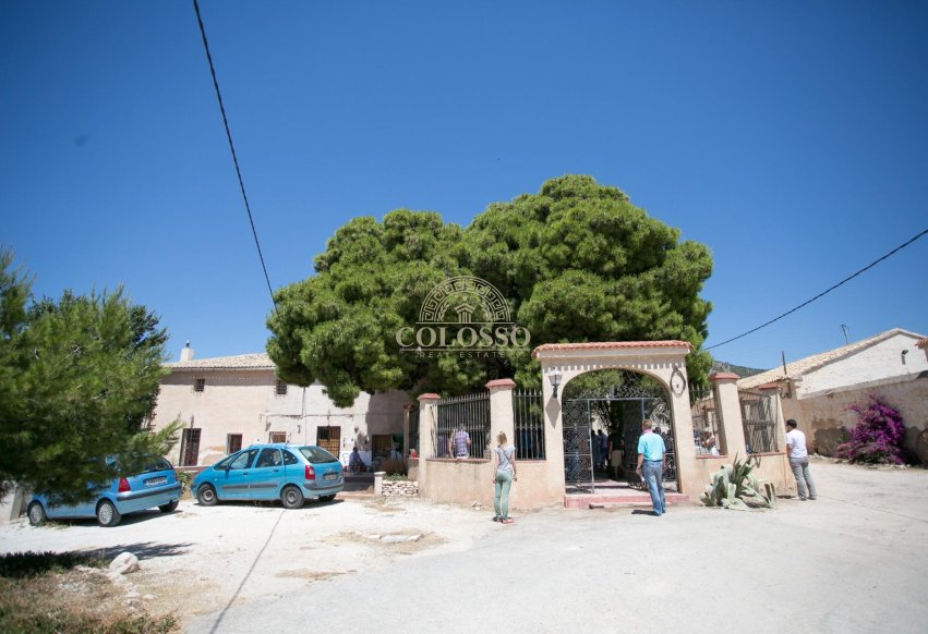 Reventa - Bodega -
Pinoso - CENTRO