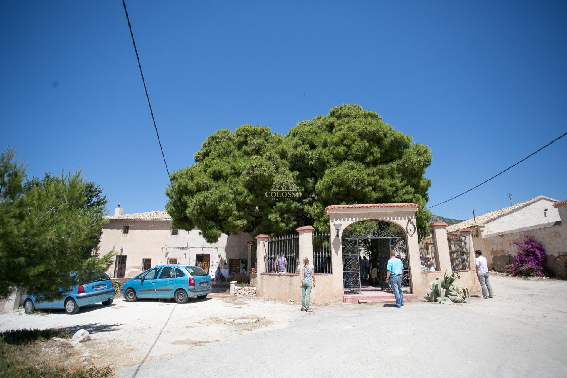 Reventa - Bodega -
Pinoso - CENTRO