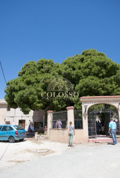 Reventa - Bodega -
Pinoso - CENTRO