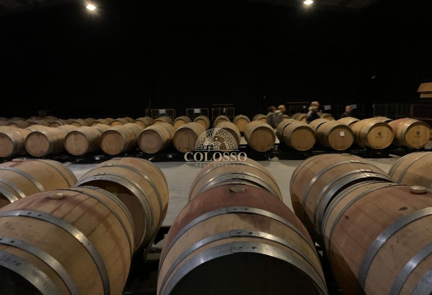 Reventa - Bodega -
Pinoso - CENTRO
