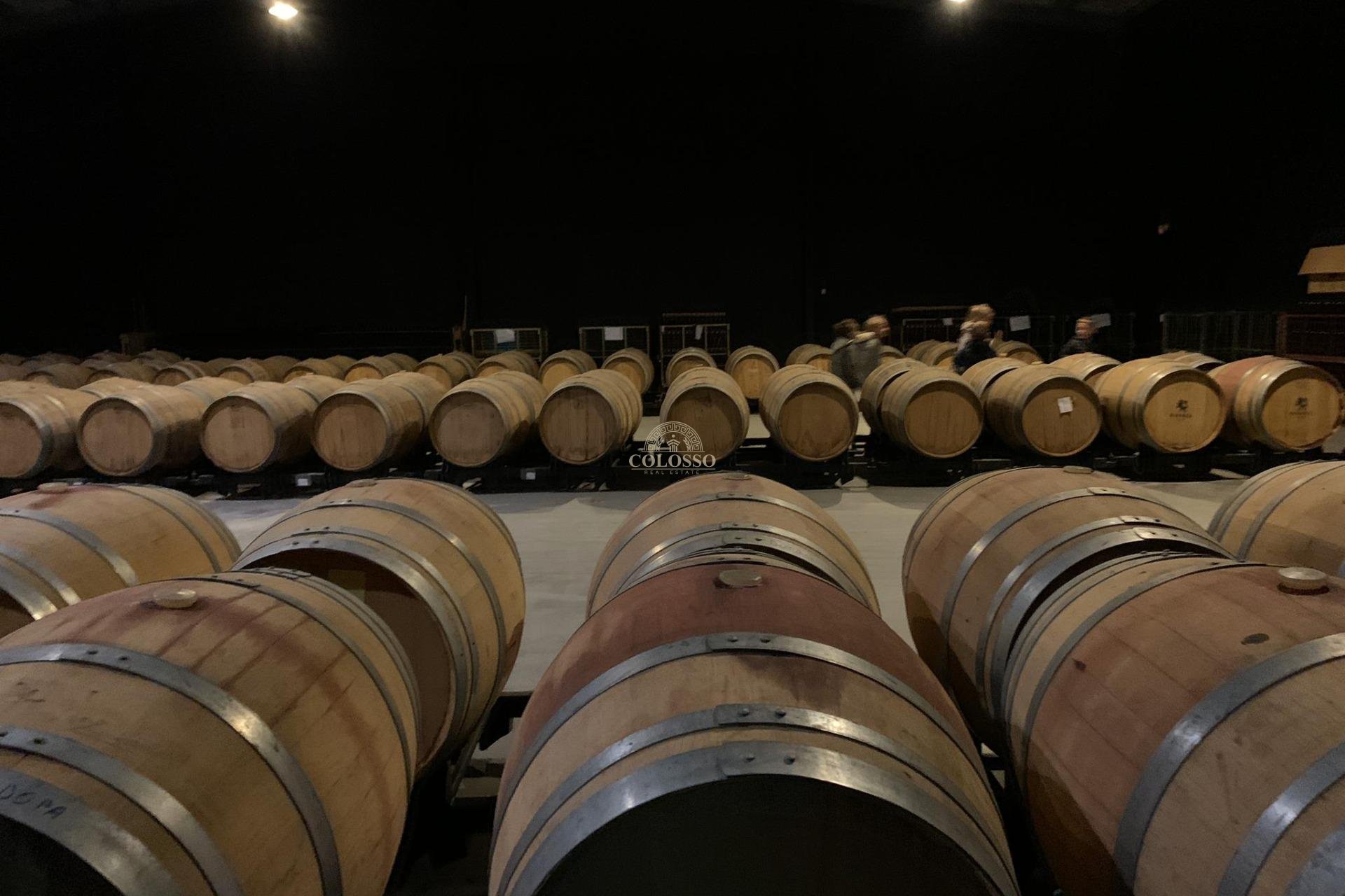 Reventa - Bodega -
Pinoso - CENTRO
