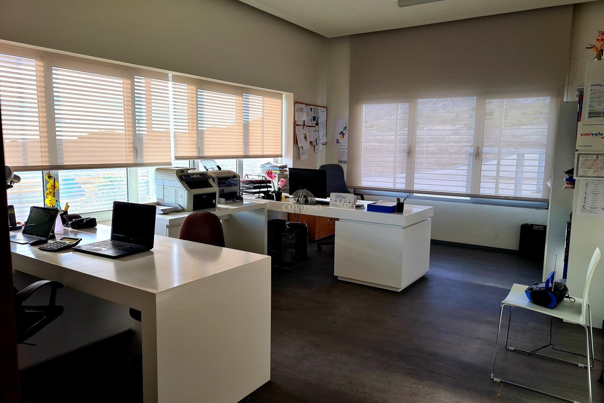 Reventa - Bodega -
Pinoso - CENTRO
