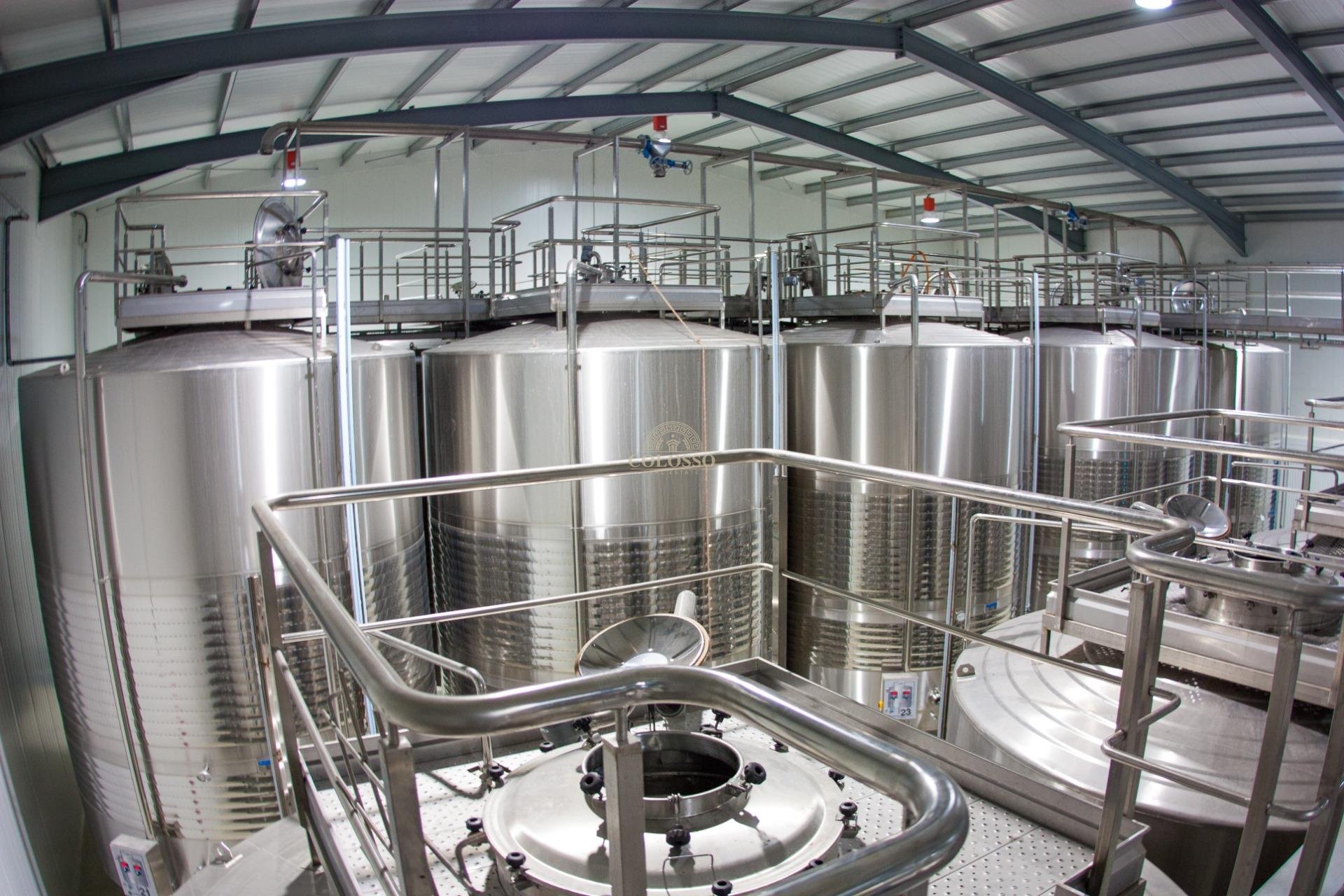 Reventa - Bodega -
Pinoso - CENTRO