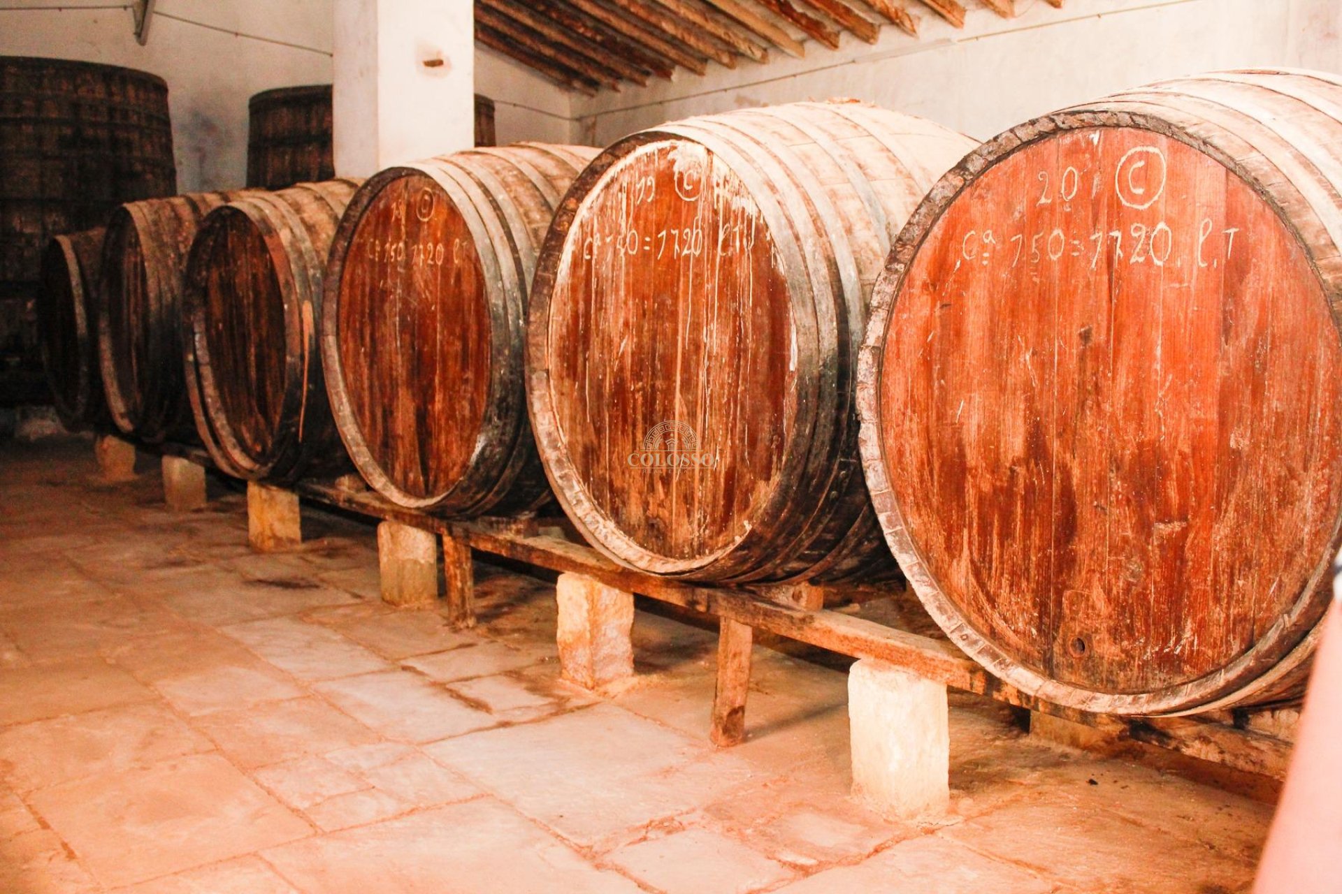 Reventa - Bodega -
Pinoso - CENTRO