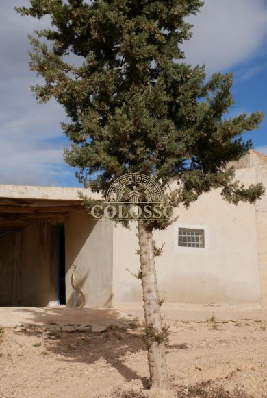 Reventa - Casa -
Abanilla - EL SALADO