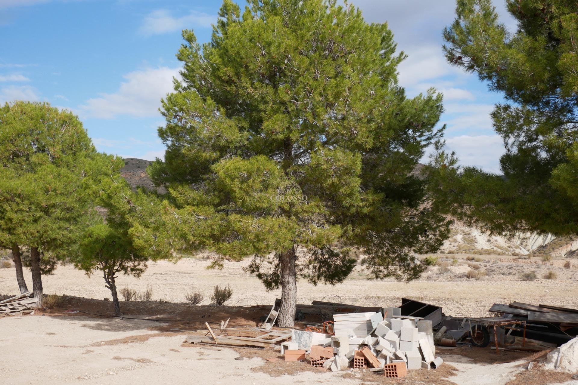 Reventa - Casa -
Abanilla - EL SALADO