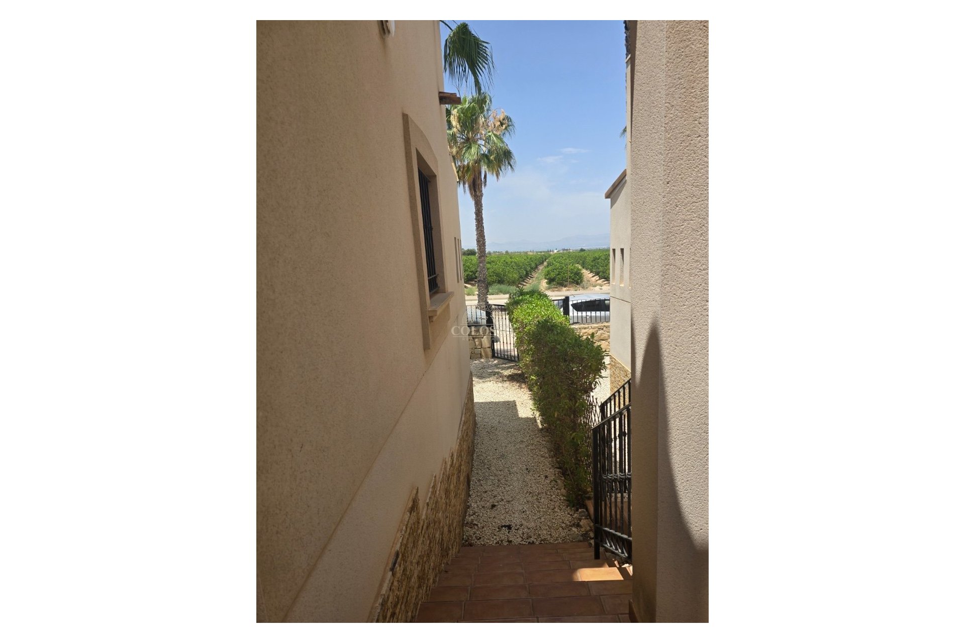 Reventa - Chalet Pareado -
Algorfa - La finca golf