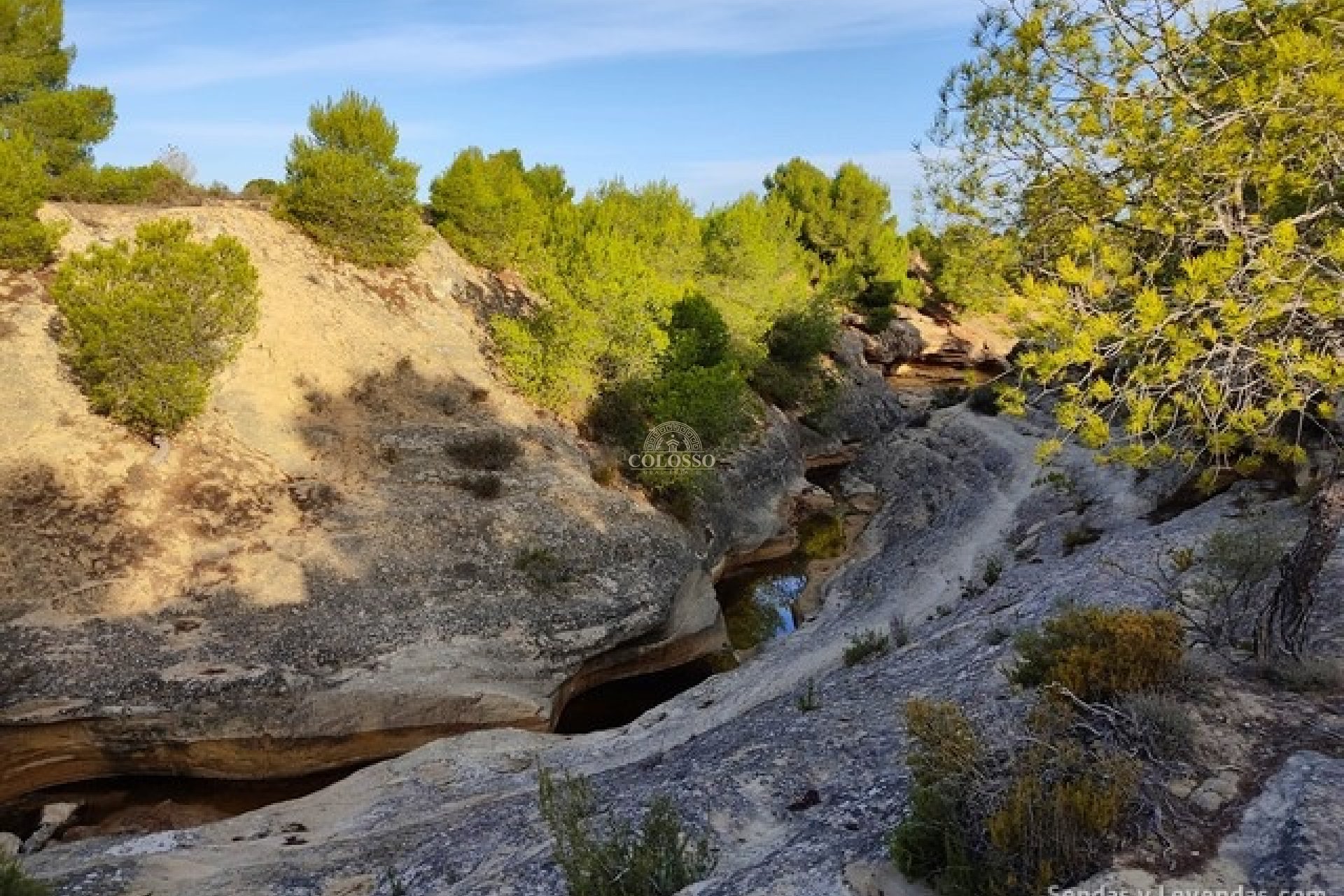 Reventa - Finca rústica -
Almoradí