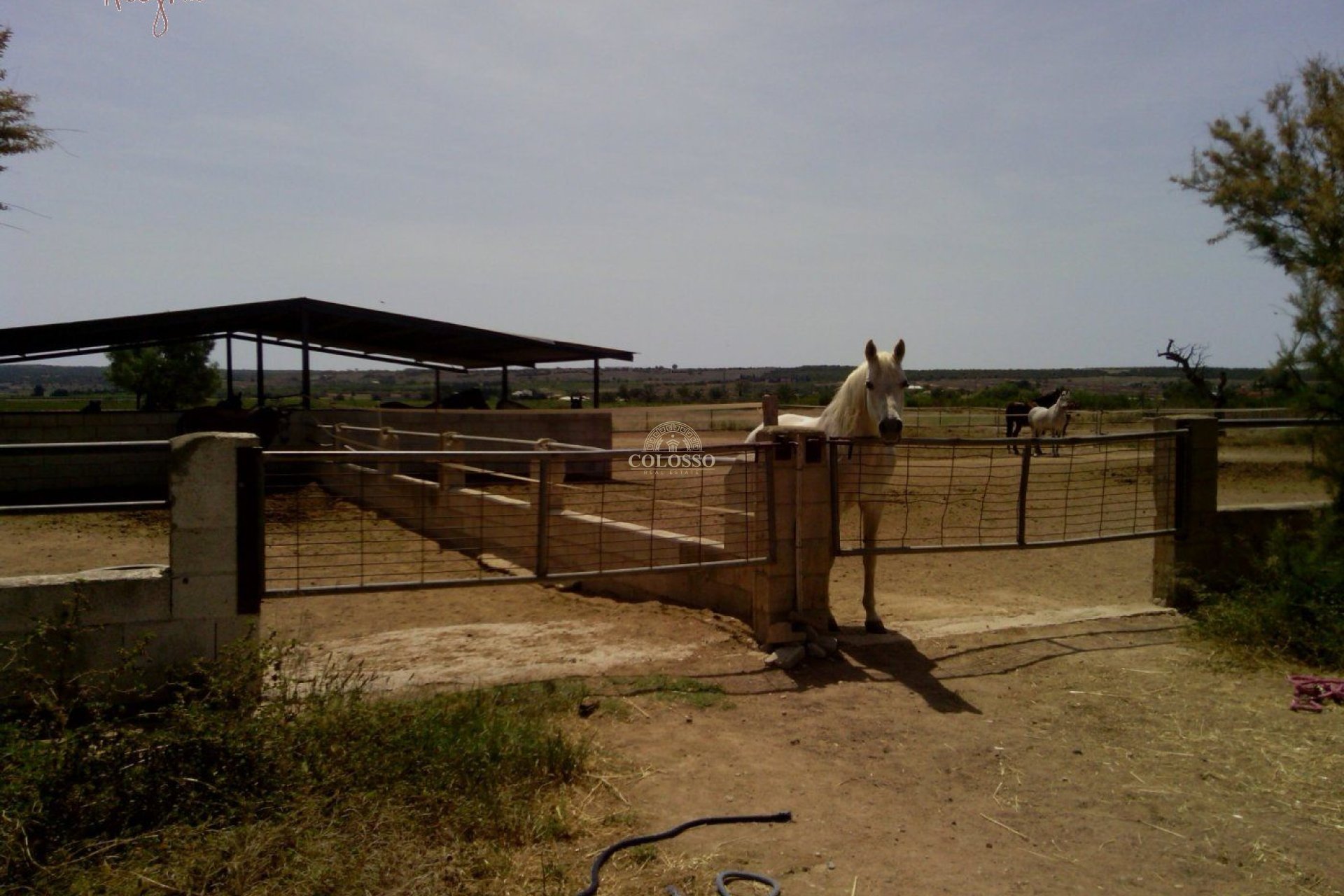 Reventa - Hacienda -
Elche