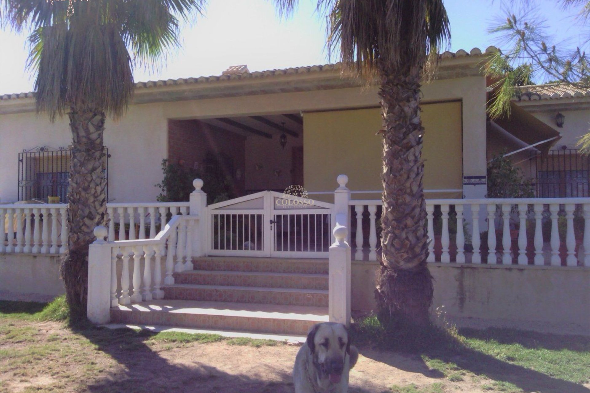 Reventa - Hacienda -
Elche