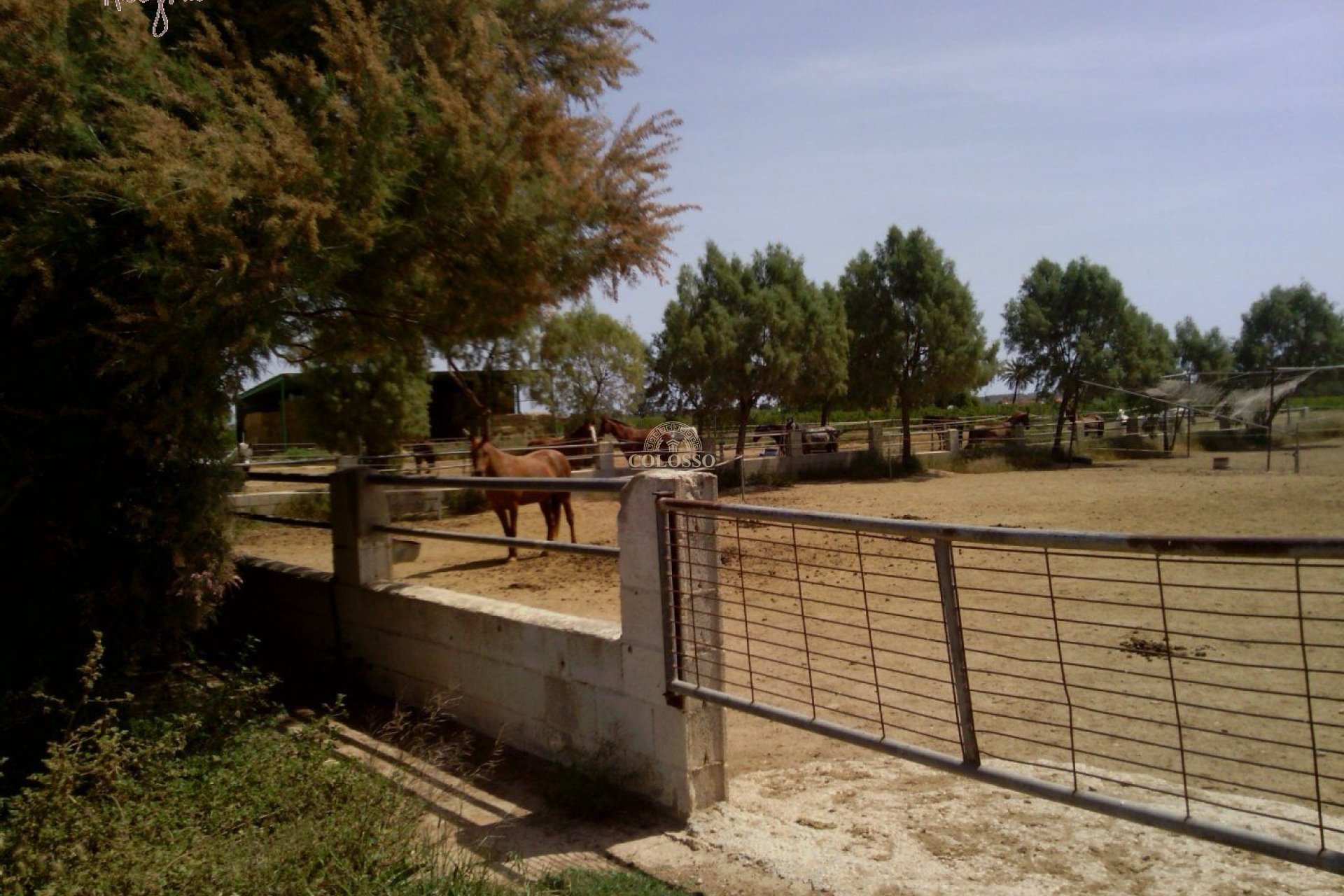 Reventa - Hacienda -
Elche