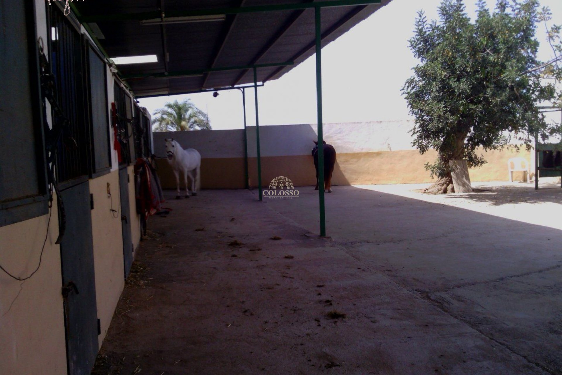 Reventa - Hacienda -
Elche