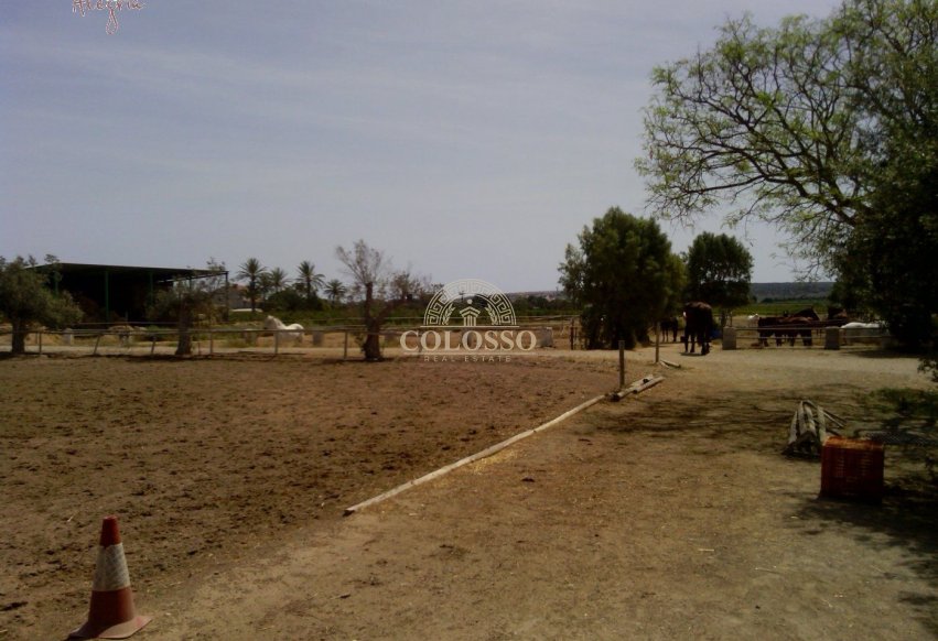 Reventa - Hacienda -
Elche